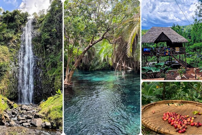 Waterfall, coffee tour & hot springs - lunch and drinks included - Key Things You Should Know Before You Go