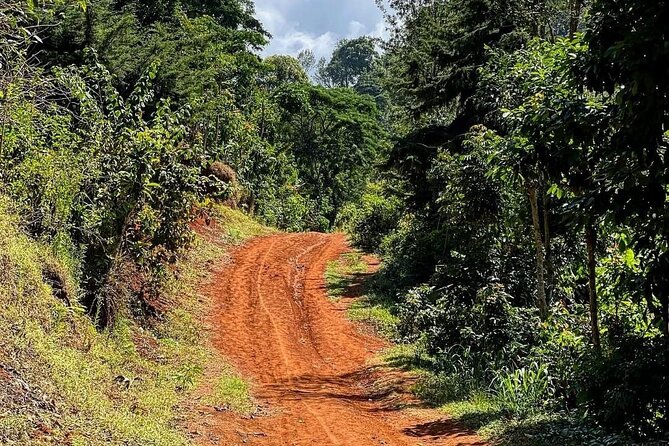 Waterfall, coffee tour & hot springs - lunch and drinks included - Getting There, Getting Around: Pickup, Private Group Timing, and a Long Day