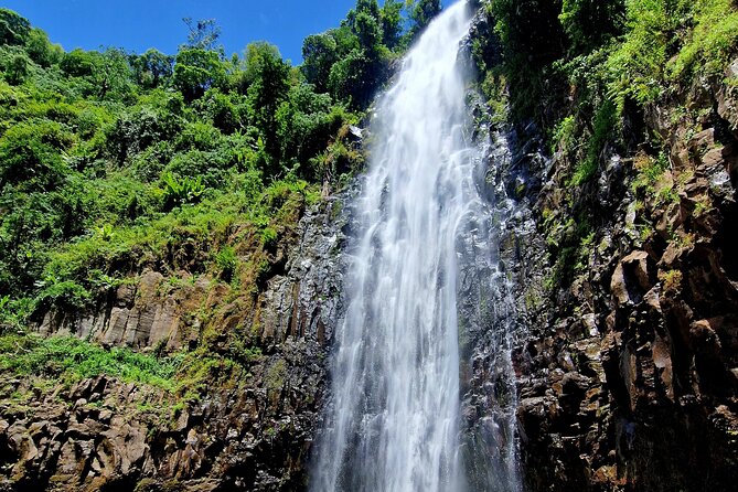 Waterfall, coffee tour & hot springs - lunch and drinks included - Price and Value at $99: What You’re Really Paying For