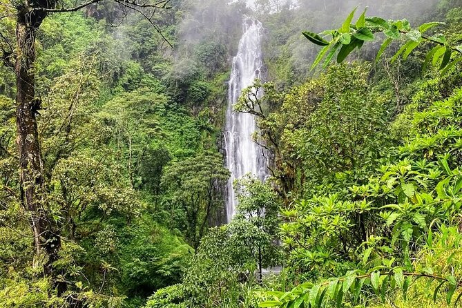 Waterfall, coffee tour & hot springs - lunch and drinks included - Who This Tour Fits Best, and Who Might Want to Skip It