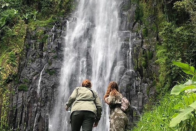 Waterfall & Coffee Walking Tour - Coffee farm tour in Tanzania, what it teaches and what you should watch for