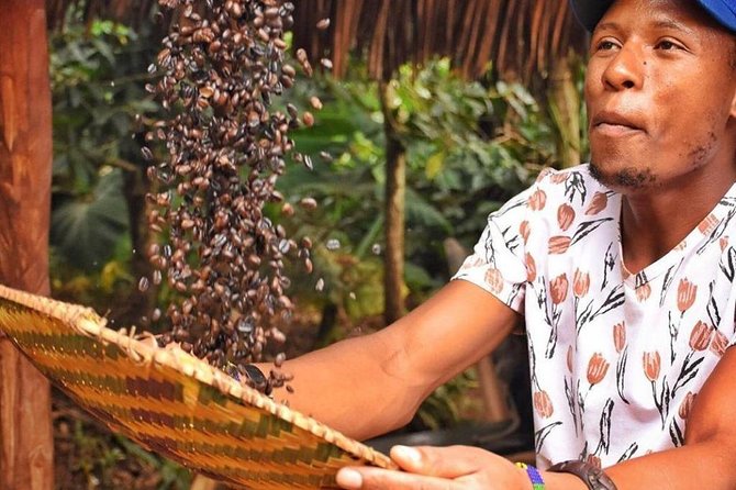 Waterfalls, Coffee, Hotsprings, Food Cuisine, & Serval Wildlife - Key things you will actually feel on this tour