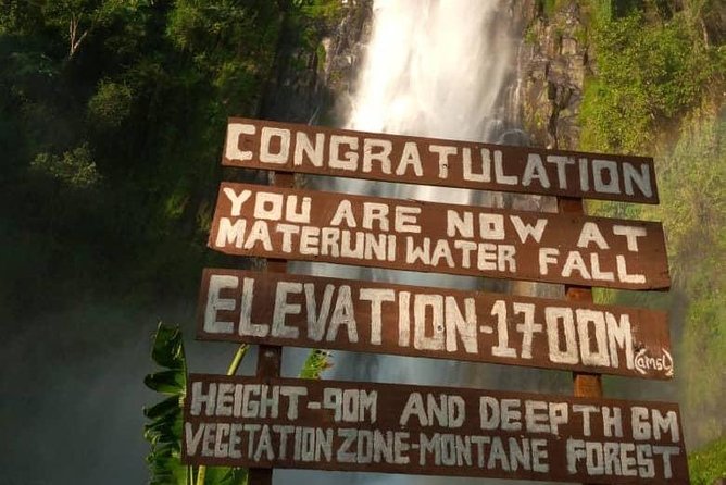 Waterfalls, Coffee, Hotsprings, Food Cuisine, & Serval Wildlife - Kikuletwa Hot Springs: warm water, clear color, and a real reset