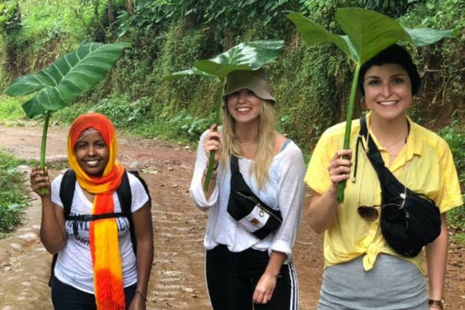 Waterfalls, Coffee, Hotsprings, Food Cuisine, & Serval Wildlife - Private guide energy: Andrew, Justin, and Eli make the day personal