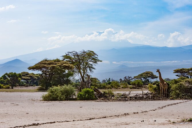 West Kilimanjaro cycling Adventures - Campfire Evenings and Included Meals You Can Count On
