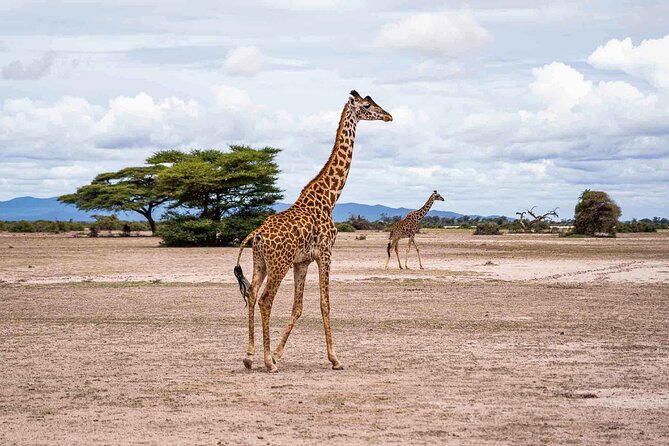 West Kilimanjaro cycling Adventures - Support Vehicle and a Private Guide: Why This Matters