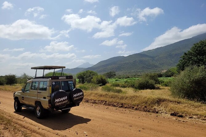 Wildlife Safari Tanzania - North Serengeti full-day game drive: where patience pays