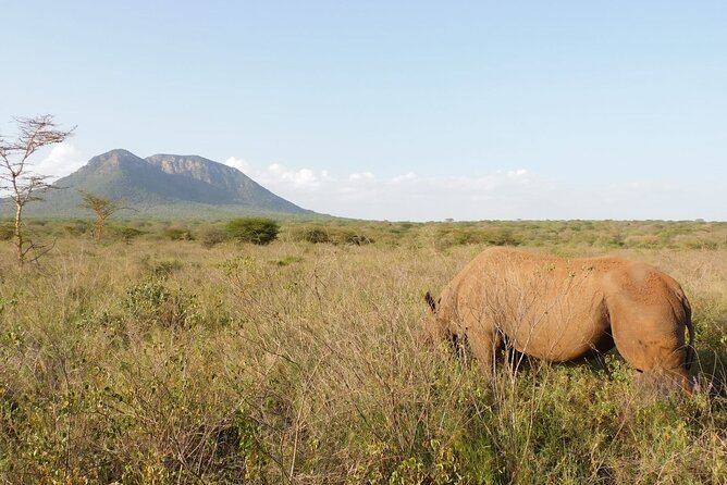 Wildlife Safari Tanzania - The lodge and meal factor: comfort that keeps you going
