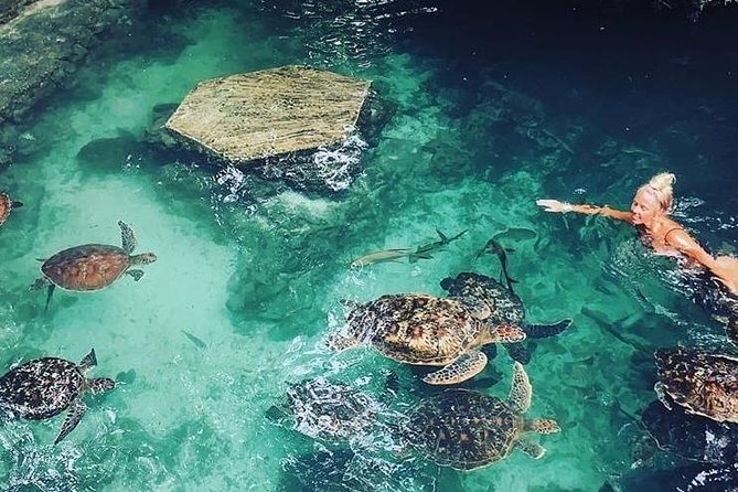 Zanzibar Adventures - Snorkeling Gear Included, So Ask Where It Fits