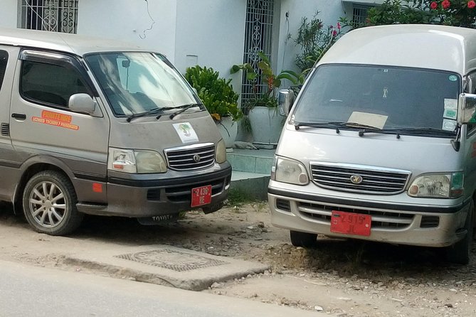 Zanzibar Airport Transfers (Pickup/Shuttles in Zanzibar) - Vehicle size: private for couples, and room for bigger groups