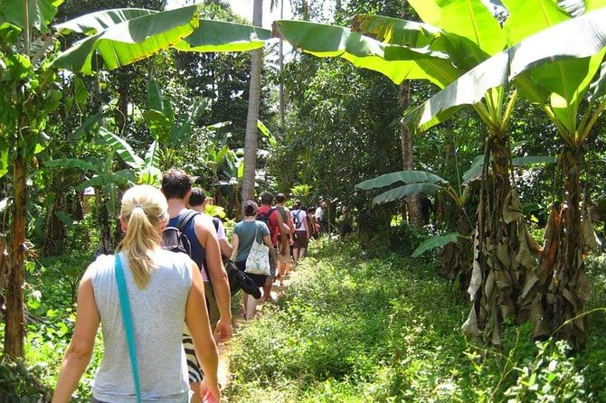 Zanzibar Aromatic Spice Farms Tour - Zanzibar’s shamba walk, why the spices come alive