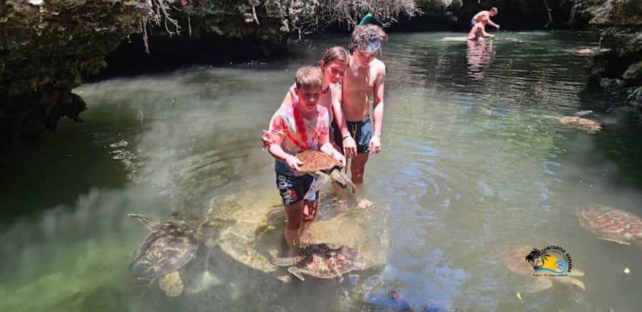 Zanzibar: Baraka Aquarium Feed, Swim & Snorkel with Turtles - Price and value: is $42 fair in Zanzibar?