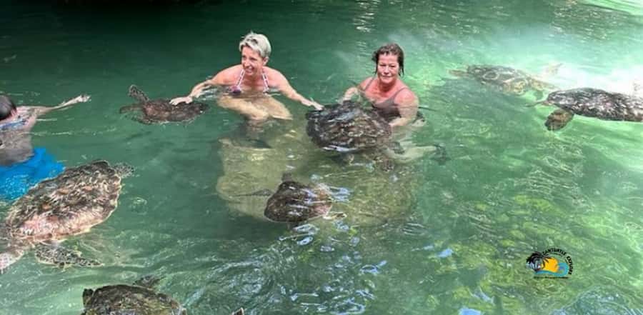 Zanzibar: Baraka Aquarium Feed, Swim & Snorkel with Turtles - Who this tour suits best, and who should skip