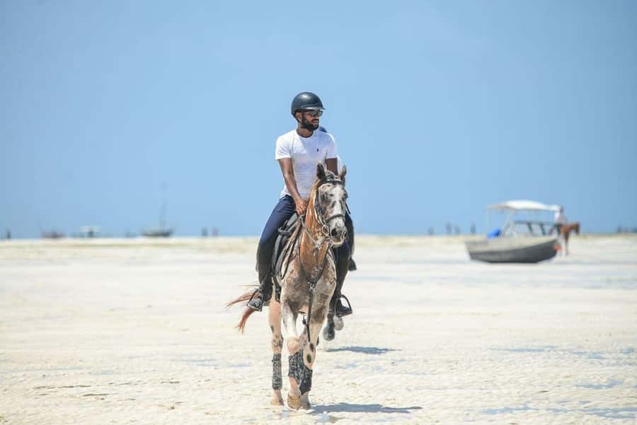 Zanzibar: Beach Horseback Ride and Swim with the Horse - What you should plan for on the day