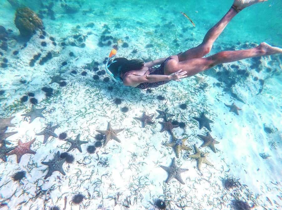 Zanzibar: Blue lagoon, Starfish, Paje Beach and Maalum Cave - Key points before you go