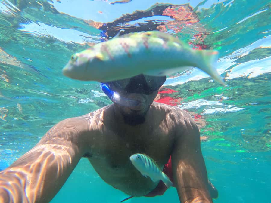 Zanzibar: Blue lagoon, Starfish, Paje Beach and Maalum Cave - Price and logistics: $145, shared groups, and a full day flow
