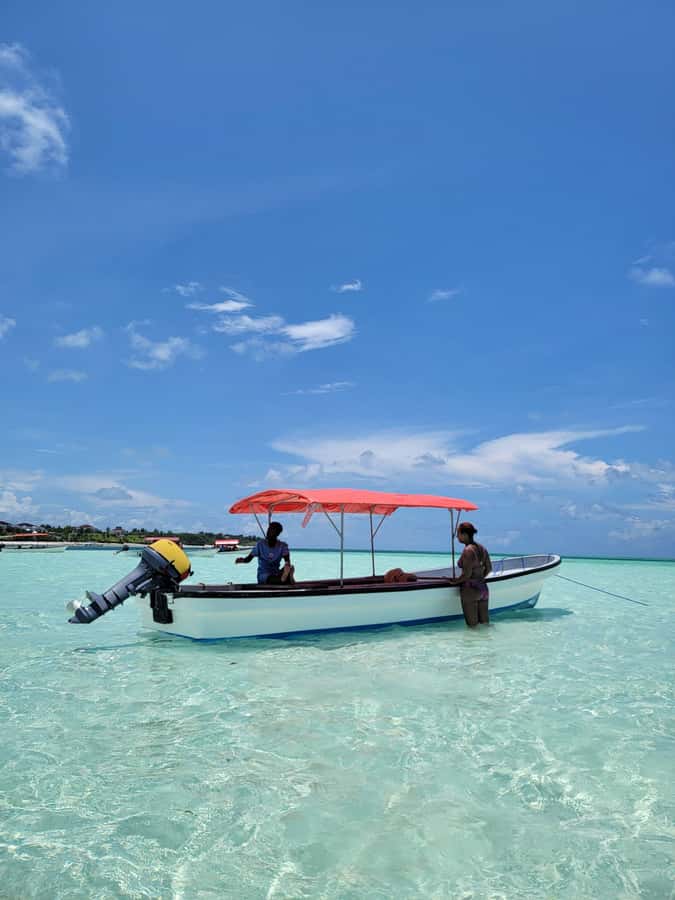 Zanzibar: Blue lagoon, Starfish, Paje Beach and Maalum Cave - Who this tour is best for (and who should skip)