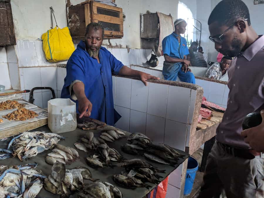Zanzibar: Changuu Island and Stone Town Tour with Lunch - Who should book this Zanzibar private tour, and who should choose differently