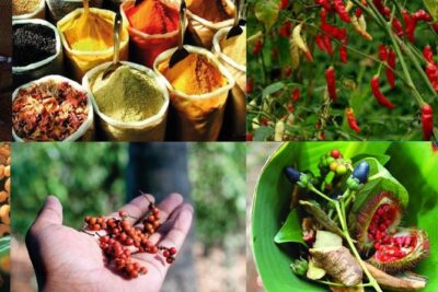 Zanzibar Cooking Class & Spice Tour