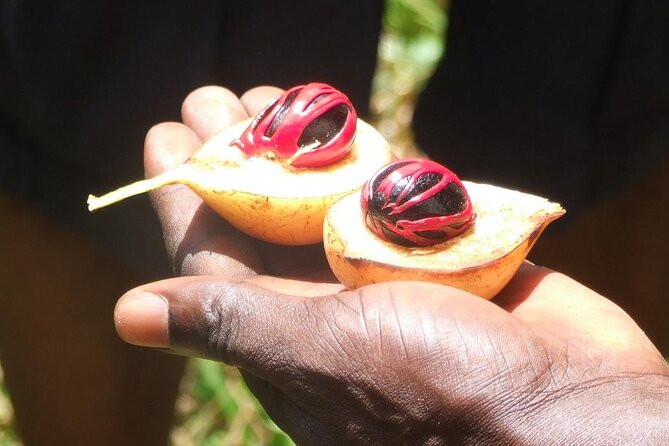 Zanzibar Cooking Class [Swahili food test ] and Spice farm Private tour - Price and value: is $59 a good deal for a private Zanzibar spice day?