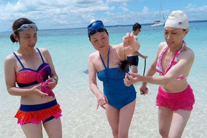 Zanzibar Full Day experience - Prison Island (Changuu) for tortoises, then snorkeling with the gear provided