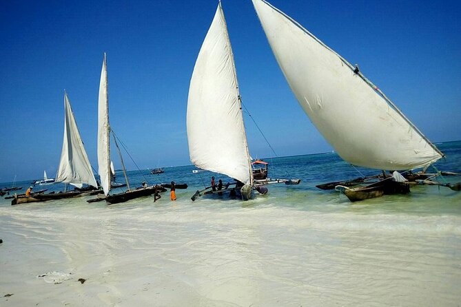 Zanzibar Full Day Mnemba Island, Nungwi and Kendwa Beach Tour - Key Things You’ll Notice on This Zanzibar North-Coast Day