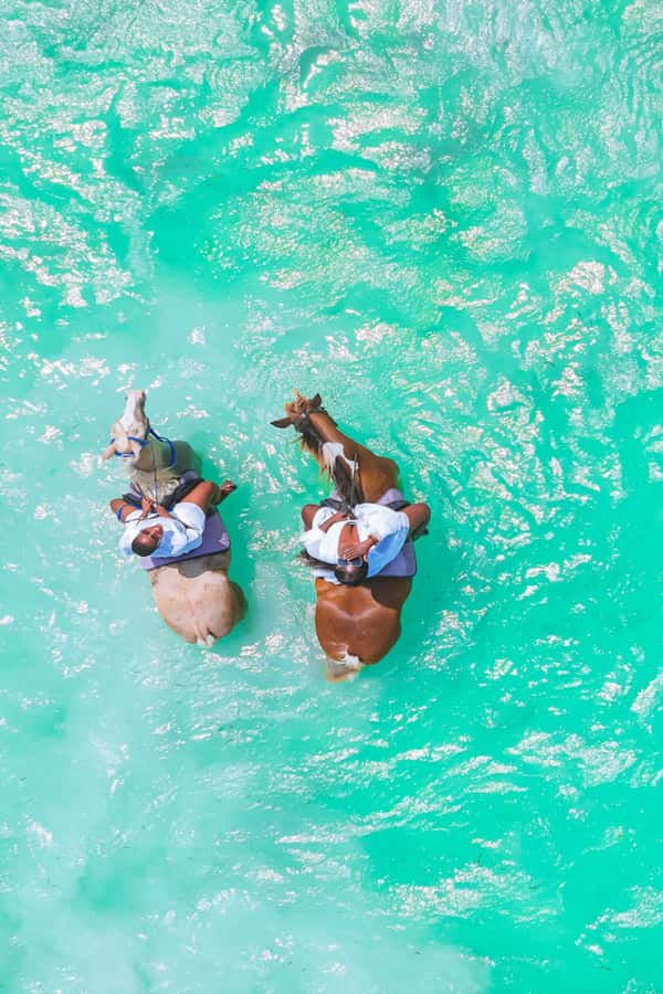 Zanzibar: Horse Riding and Kayaking with Video and Photos - Price and Value: What $230 Gets You for 6 Hours