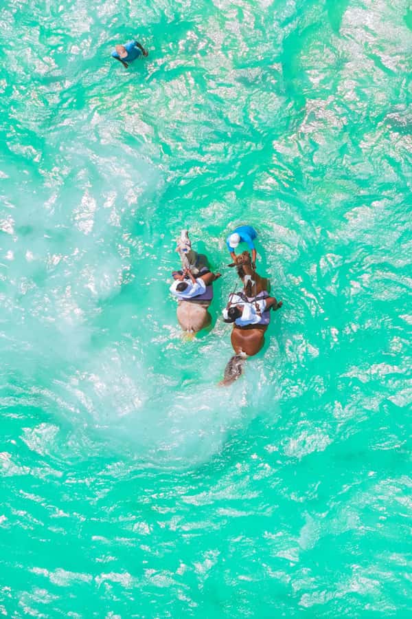 Zanzibar: Horse Riding and Kayaking with Video and Photos - Eco-Friendly Approach and Safety Stuff You Should Actually Care About