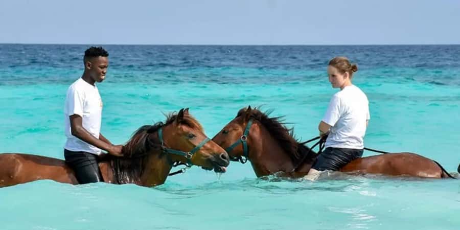 Zanzibar Horseback Riding - Key highlights to know before you go