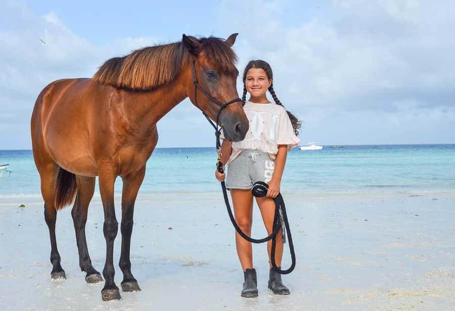 Zanzibar Horseback Riding - Zanzibar coastal horseback riding, with the sand under you