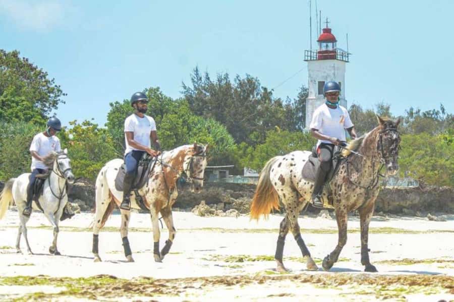 Zanzibar Horseback Riding - The 30-minute beach ride: white sands, a gentle pace, and real bonding