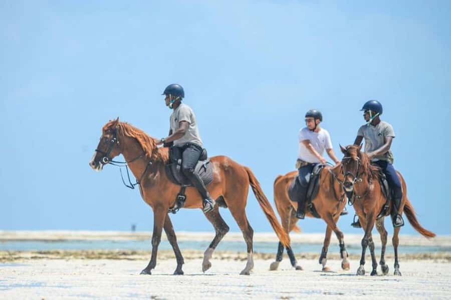 Zanzibar Horseback Riding - From your hotel to the stable: pickup and the ride prep
