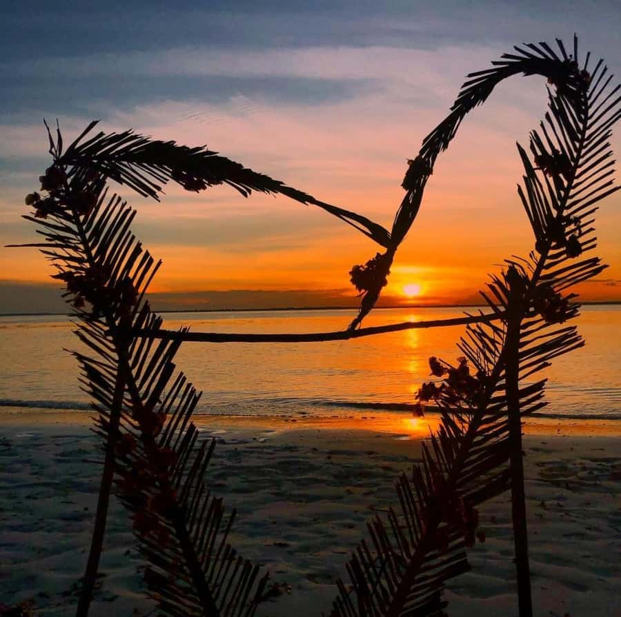 Zanzibar: Jozani Forest, Salaam & Maalum Caves and Sunset - Why This 8-Hour Zanzibar Combo Works So Well