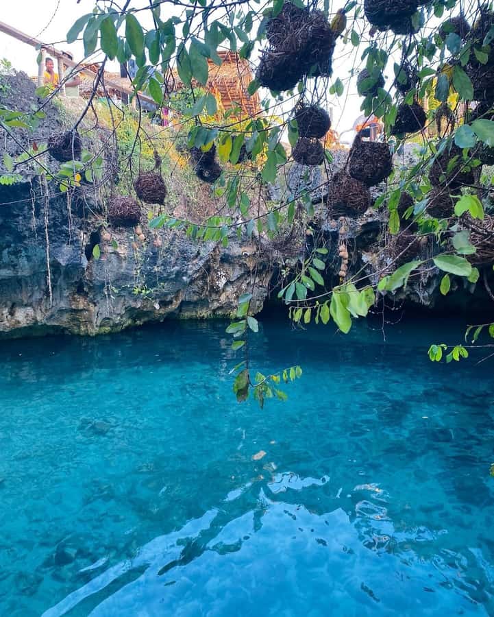 Zanzibar: Jozani Forest, Salaam & Maalum Caves and Sunset - Maalum Cave: A Freshwater Swim in a Special Place