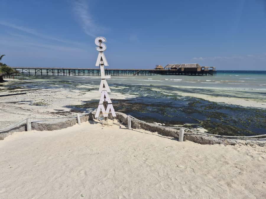 Zanzibar: Jozani Forest & Sea Tortoises Sanctuary Tour - The transfer to Kizimkazi: keep your energy for Salaam Cave
