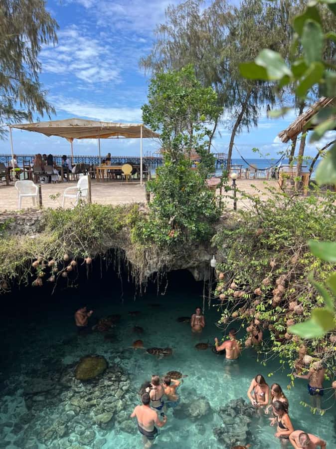 Zanzibar: Jozani Forest & Sea Tortoises Sanctuary Tour - Who should book this Jozani and Salaam Cave combo