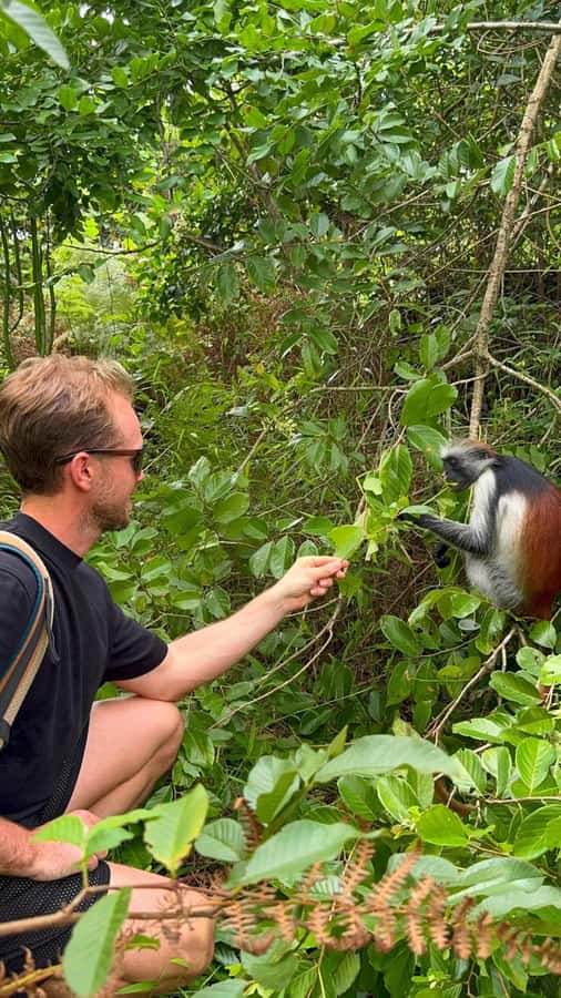 Zanzibar: Jozani Forest & Sea Tortoises Sanctuary Tour - Should you book this Zanzibar Jozani Forest and Sea Tortoise Sanctuary tour?