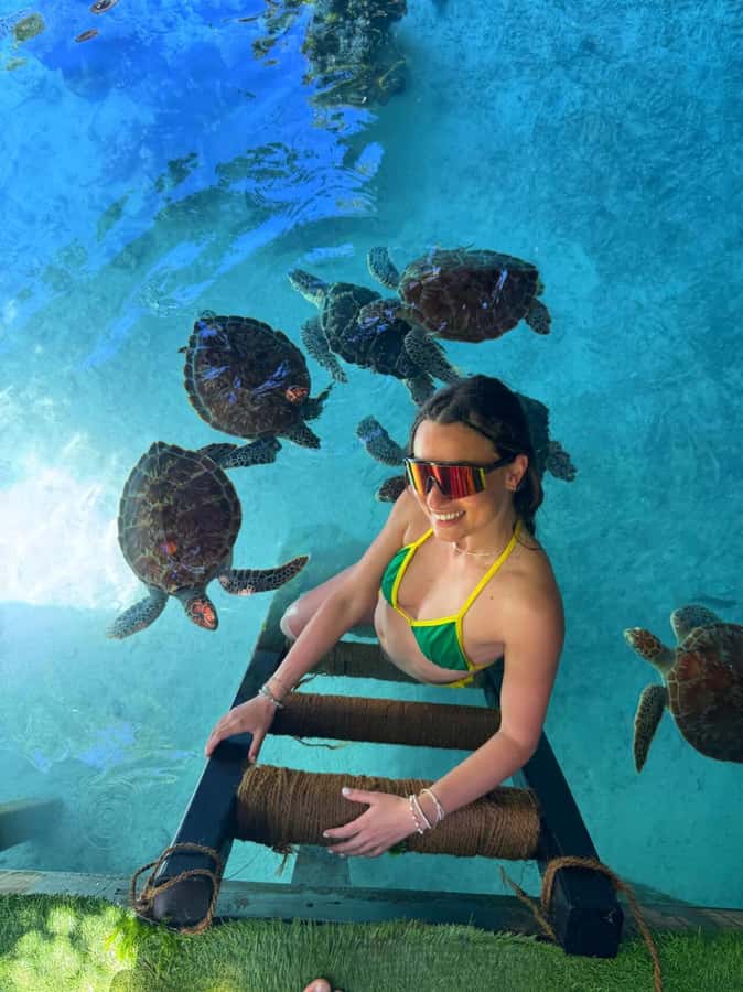 Zanzibar: Jozani Forest & Sea Tortoises Sanctuary Tour - FAQ