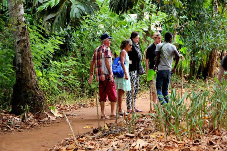 Zanzibar: Jozani forest tour & Spice farm tour with lunch - How Zanzibar’s spice farm and Jozani fit together