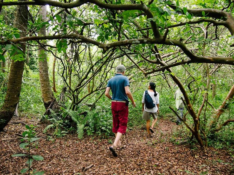 Zanzibar: Jozani forest tour & Spice farm tour with lunch - Price value check: what $110 buys you