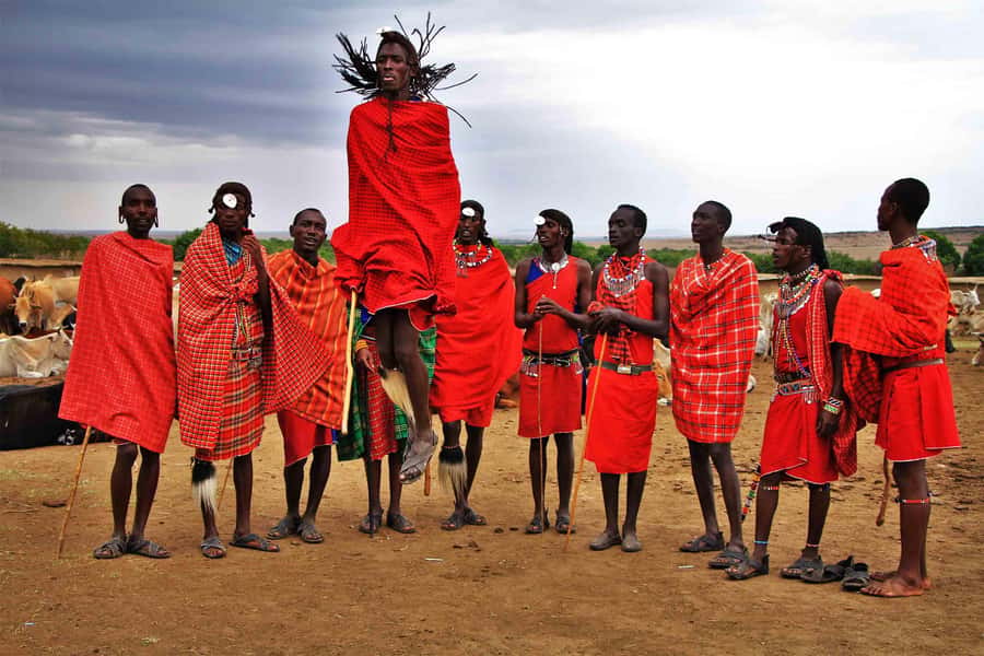 Zanzibar: Maasai village Tour with Sunset Dhow Cruise - The shared sunset dhow cruise: wind, colors, and a swim stop
