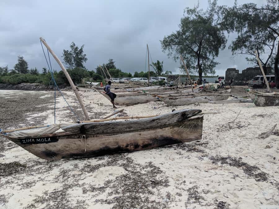 Zanzibar: Mnemba Atoll Marine Reserve Snorkeling Tour - Mnemba island entry rules and dolphin expectations