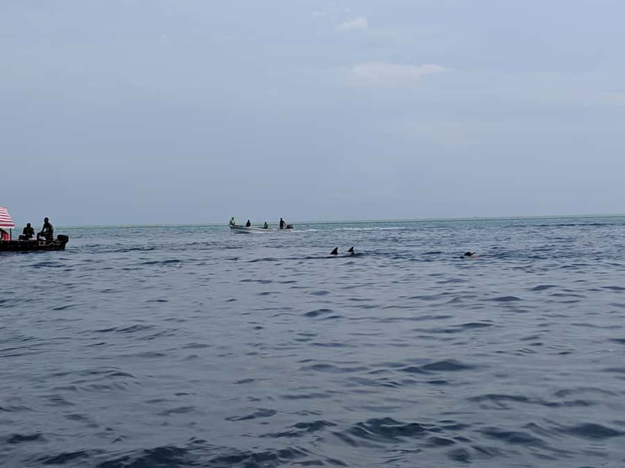 Zanzibar: Mnemba Atoll Marine Reserve Snorkeling Tour - After snorkeling: seeing local fishermen and heading back to Unguja