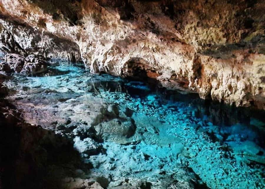 Zanzibar: Mnemba Island Atoll Guided Day Trip - Guides and drivers can make or break the day