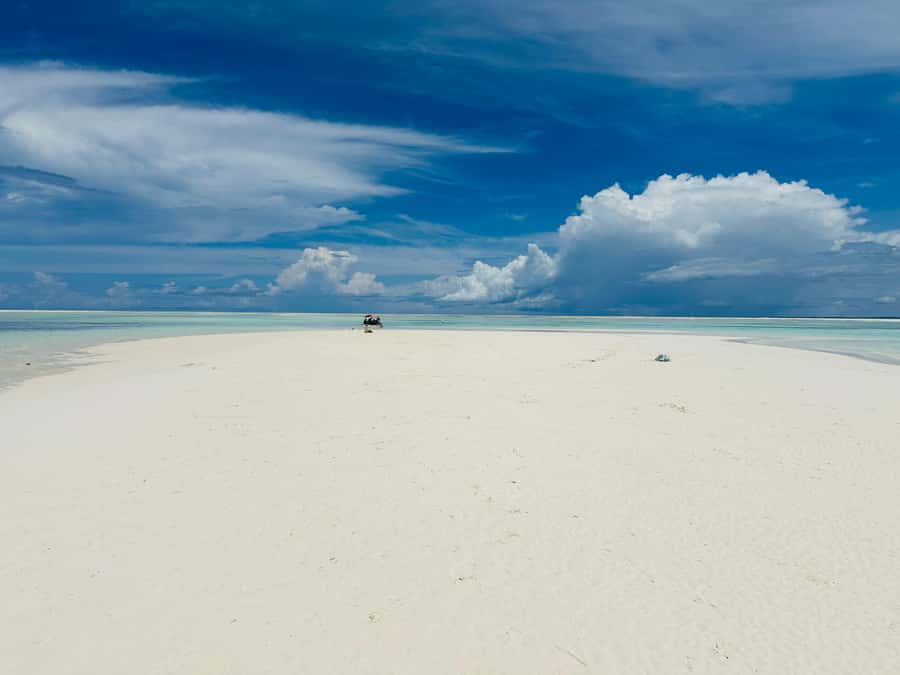 Zanzibar: Mnemba Island Dolphin and Snorkeling Tour - Safety rules you should treat like part of the experience