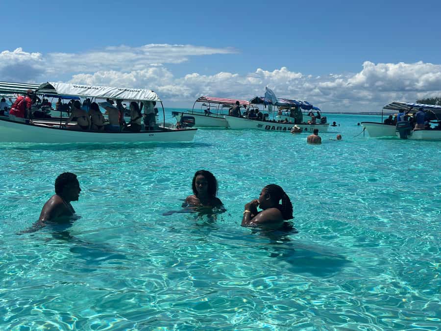 Zanzibar: Mnemba Island Dolphin and Snorkeling Tour - What you’ll likely see (and what you might not)