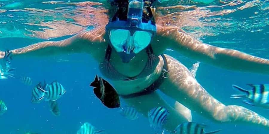 Zanzibar: Mnemba Island&Dolphin Swim With Optional Lunch - Who should book this Mnemba dolphin and snorkeling trip