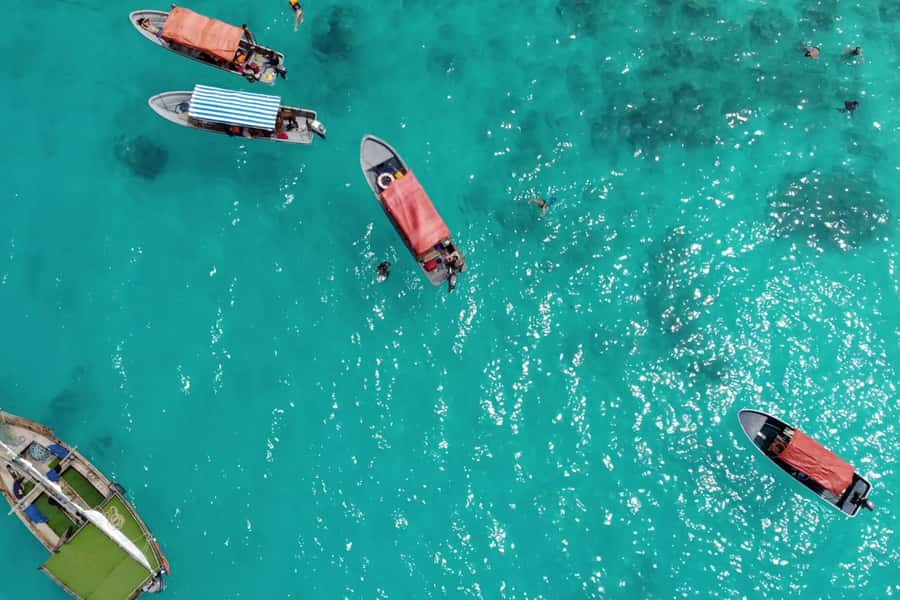 Zanzibar: Mnemba Island&Dolphin Swim With Optional Lunch - Practical tips to make your day smoother