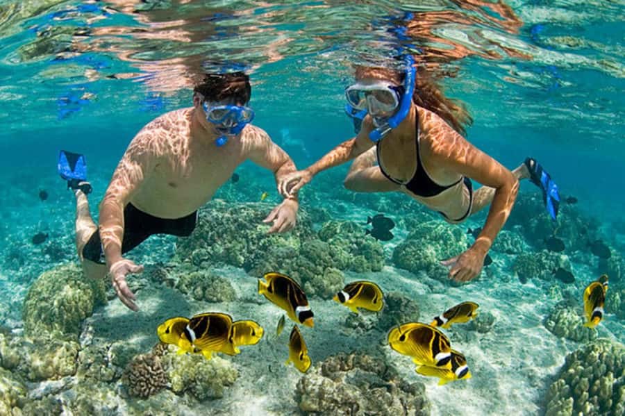 Zanzibar: Mnemba Island & Jozani Forest Tour with Turtles - What to Bring (And What to Leave Off Your Packing List)