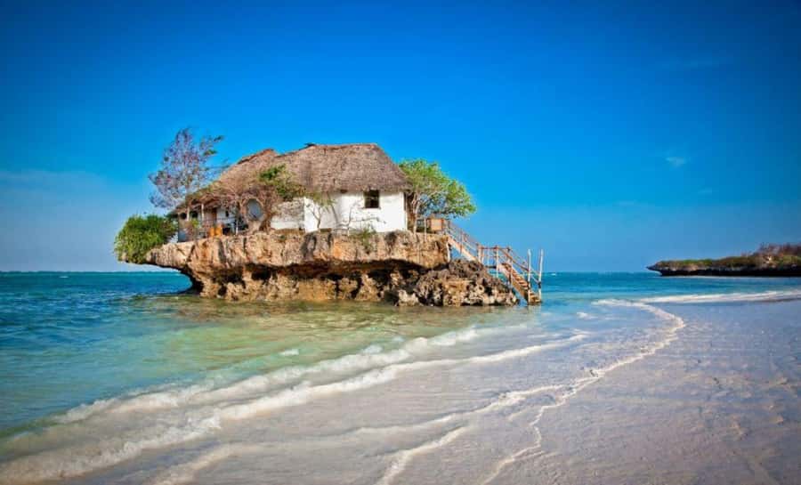 Zanzibar: Mnemba Island, Prison Island and Salaam Cave Tour - Who this tour suits best, and who should rethink it